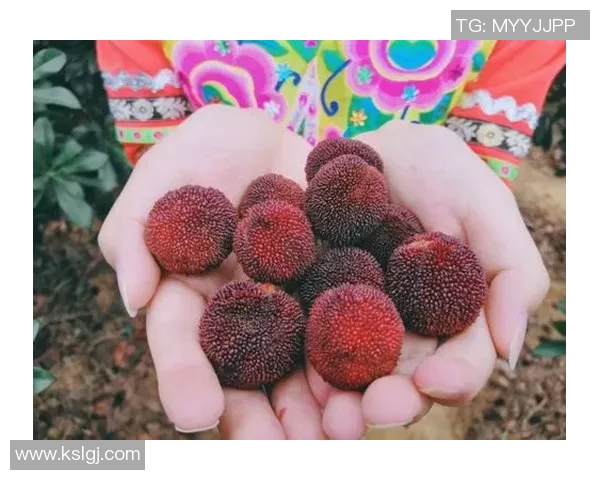 姚明携手长春樱桃推广活动助力地方经济发展与体育文化融合 姚明携手长春樱桃推广活动助力地方经济发展与体育文化融合